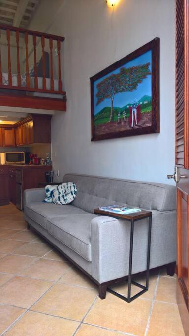 Old San Juan Historic Loft 4 The Adventurous Appartement Buitenkant foto